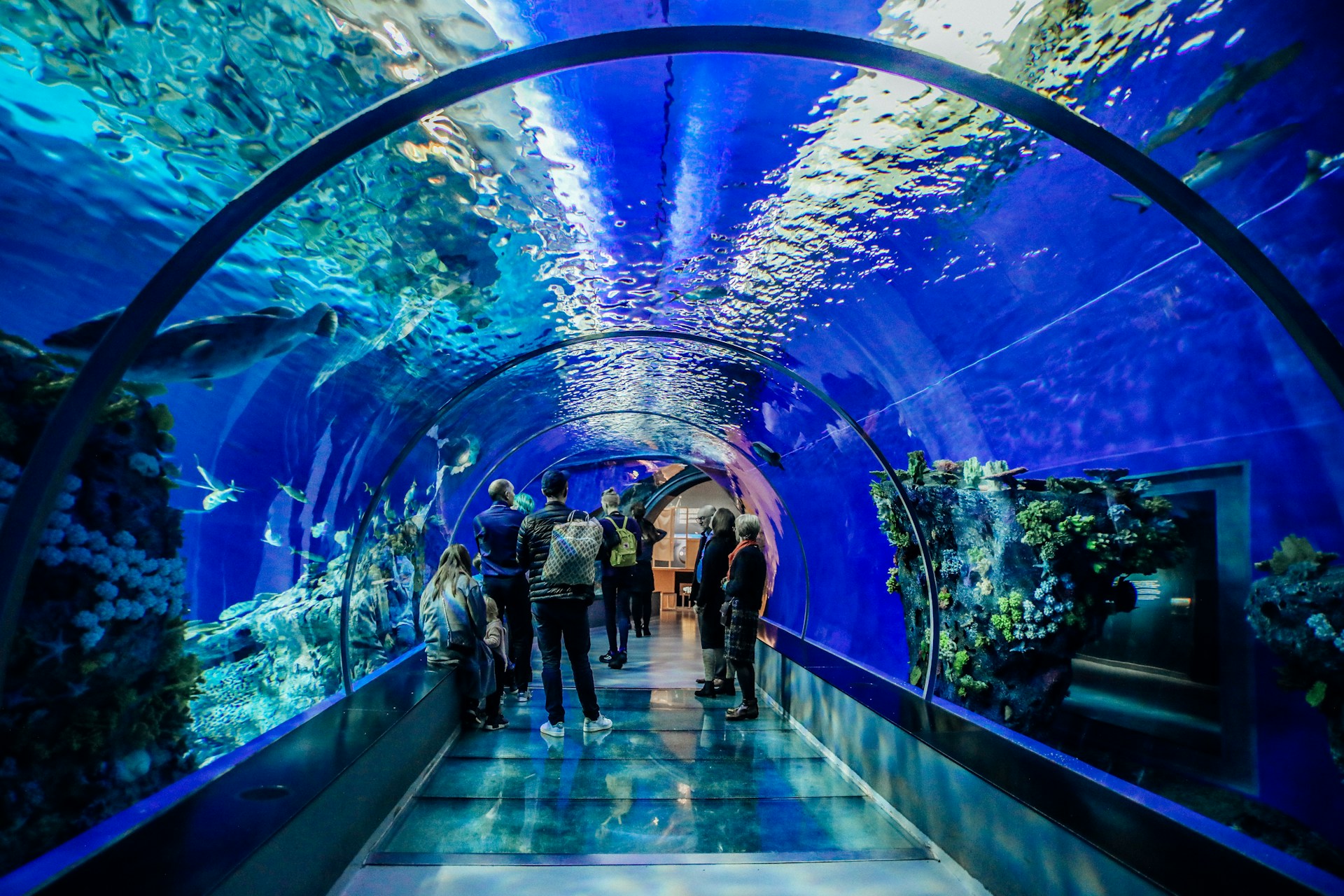 dubai aquariam