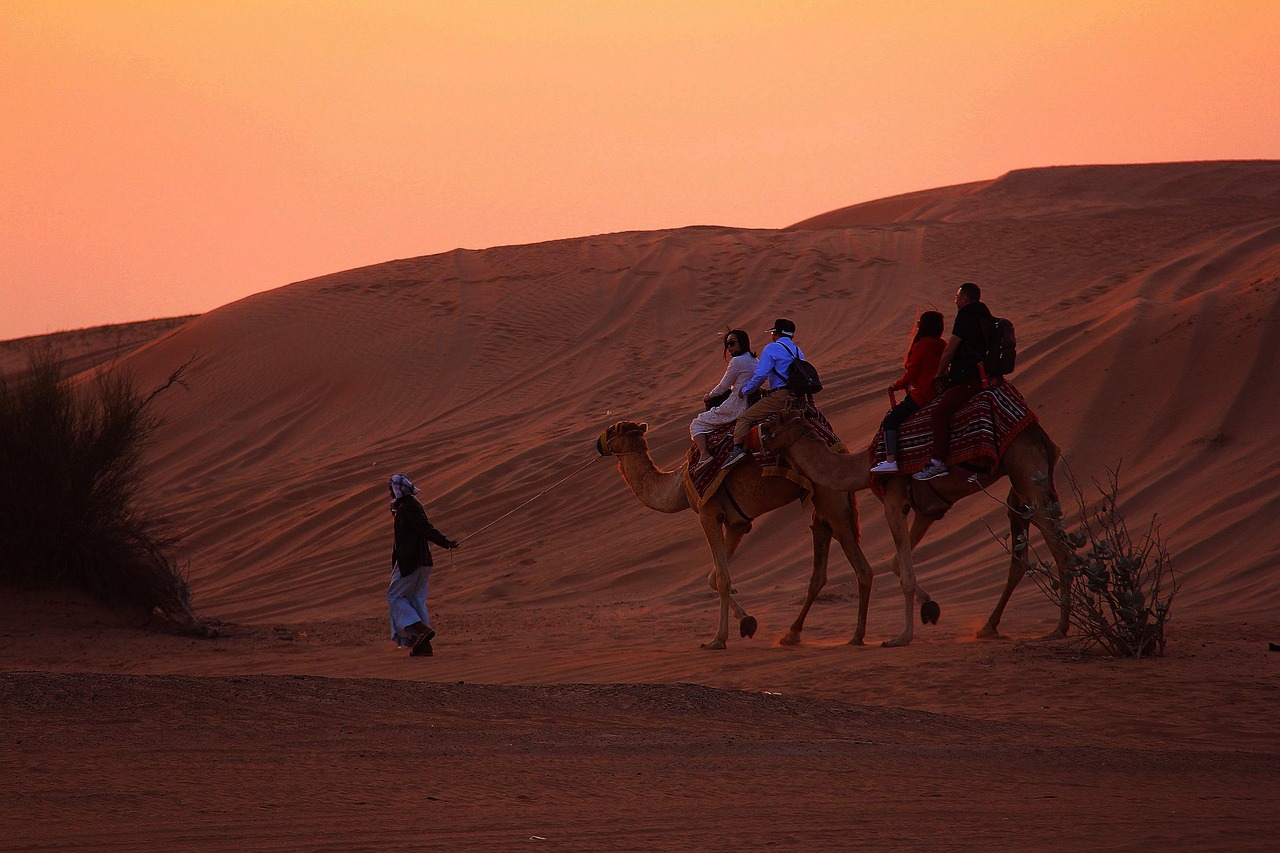 dubai des fun camel